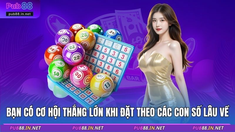 Bạn có cơ hội thắng lớn khi đặt theo các con số lâu về